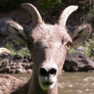 RobertMartin-c7's avatar